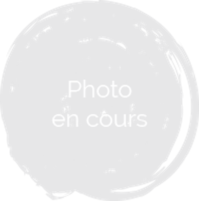 Confiture de myrtille pot de 260 g
