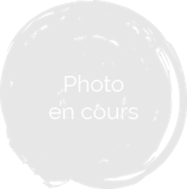 Confiture de myrtille pot de 260 g