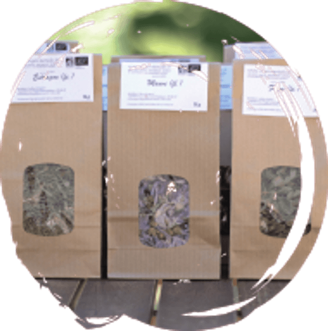 Artichaut (fe.) sachet de 15 g